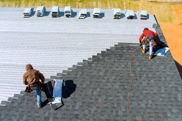 Best Metal Roofing Contractor  in Lomira, WI