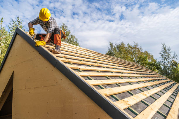 Best Roof Repair Services  in Lomira, WI