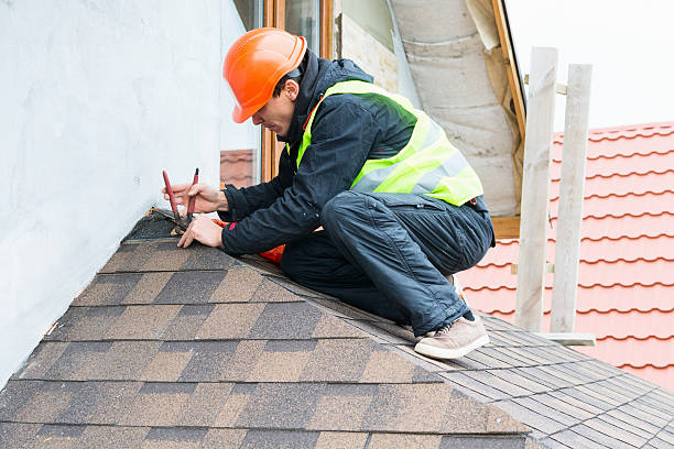 Best Gutter Installation and Roofing  in Lomira, WI