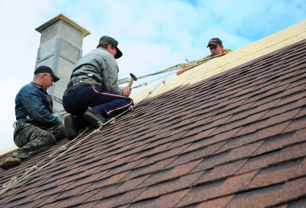 Best Metal Roofing Contractor  in Lomira, WI