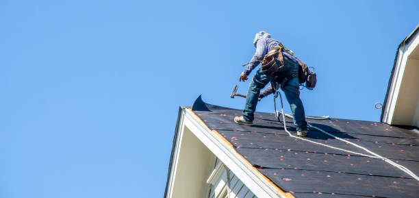 Best Affordable Roof Replacement  in Lomira, WI